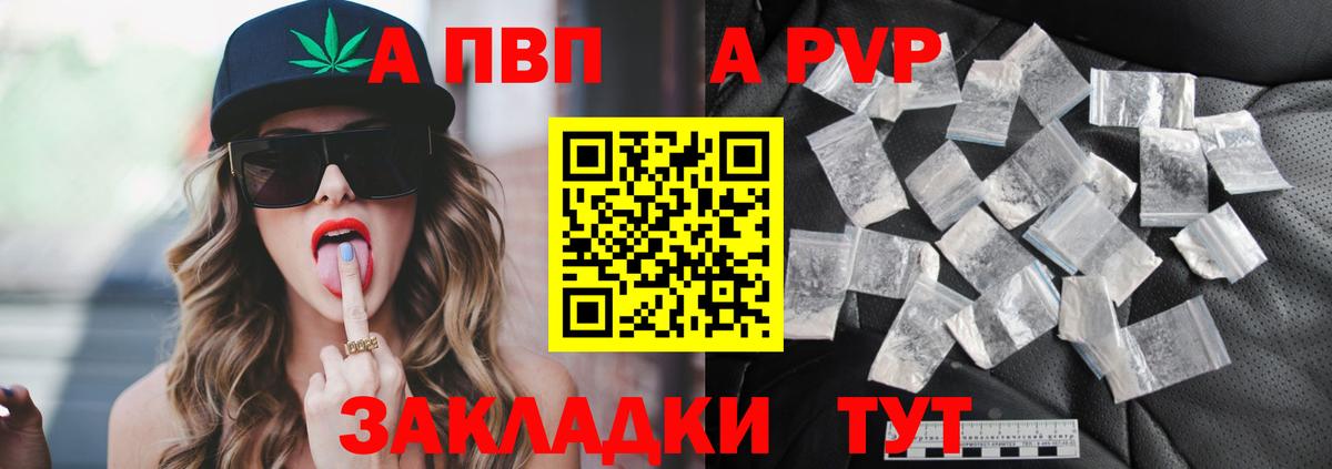 Alfa_PVP СК КРИС Петропавловск-Камчатский