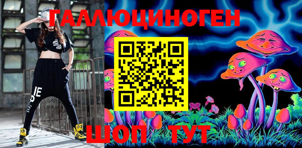 Галлюциногенные грибы GOLDEN TEACHER Петропавловск-Камчатский